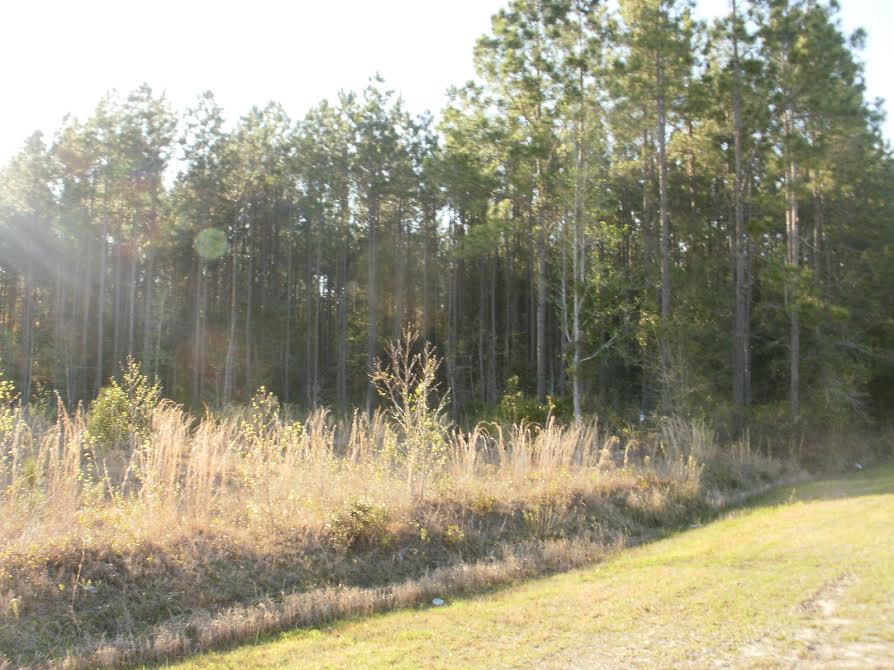 138 +/ Acres of Land